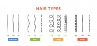 Chart of hair textures and classifications