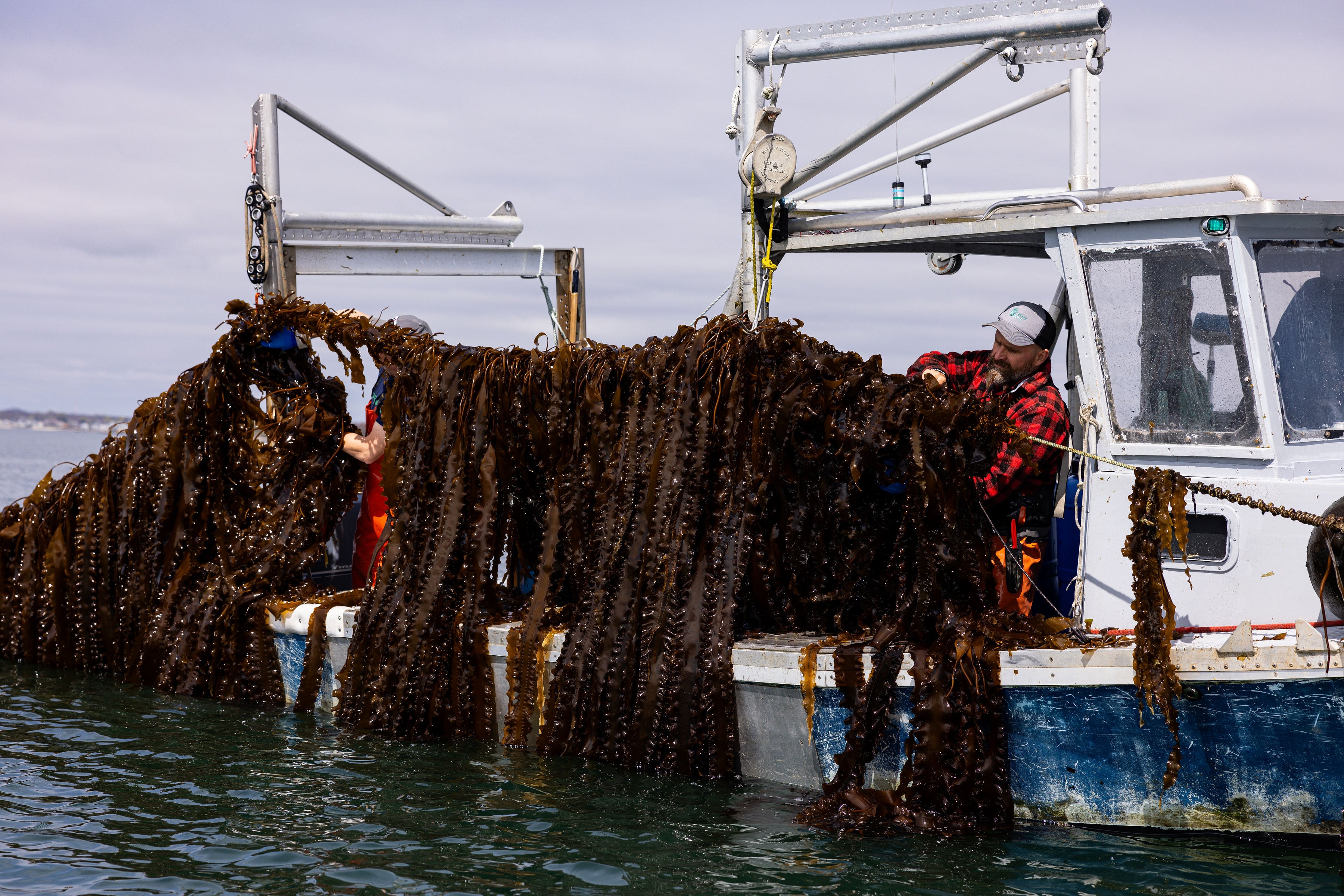 Video: Kelp CoLab offers R&D boost for cosmetics innovators