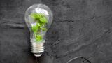 Globally Harmonized Sustainability - Greenwashing and the breakdown