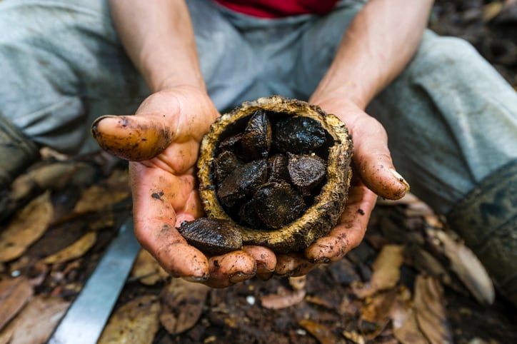 Swiss-development-program-invests-in-natural-Colombian-cosmetics.jpg
