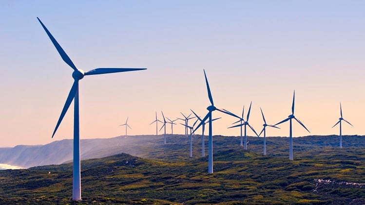 Climate Neutral partnering with beauty brands to decrease industry’s carbon emissions