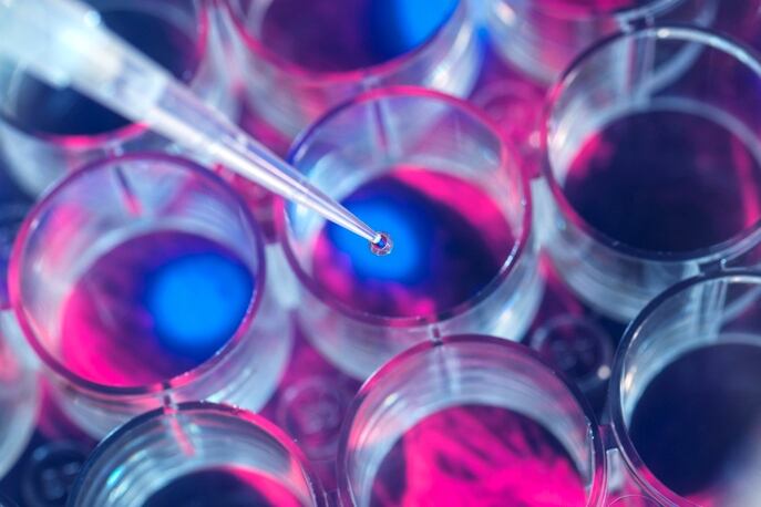 How biotech could improve the ingredient supply chain, according to an expert