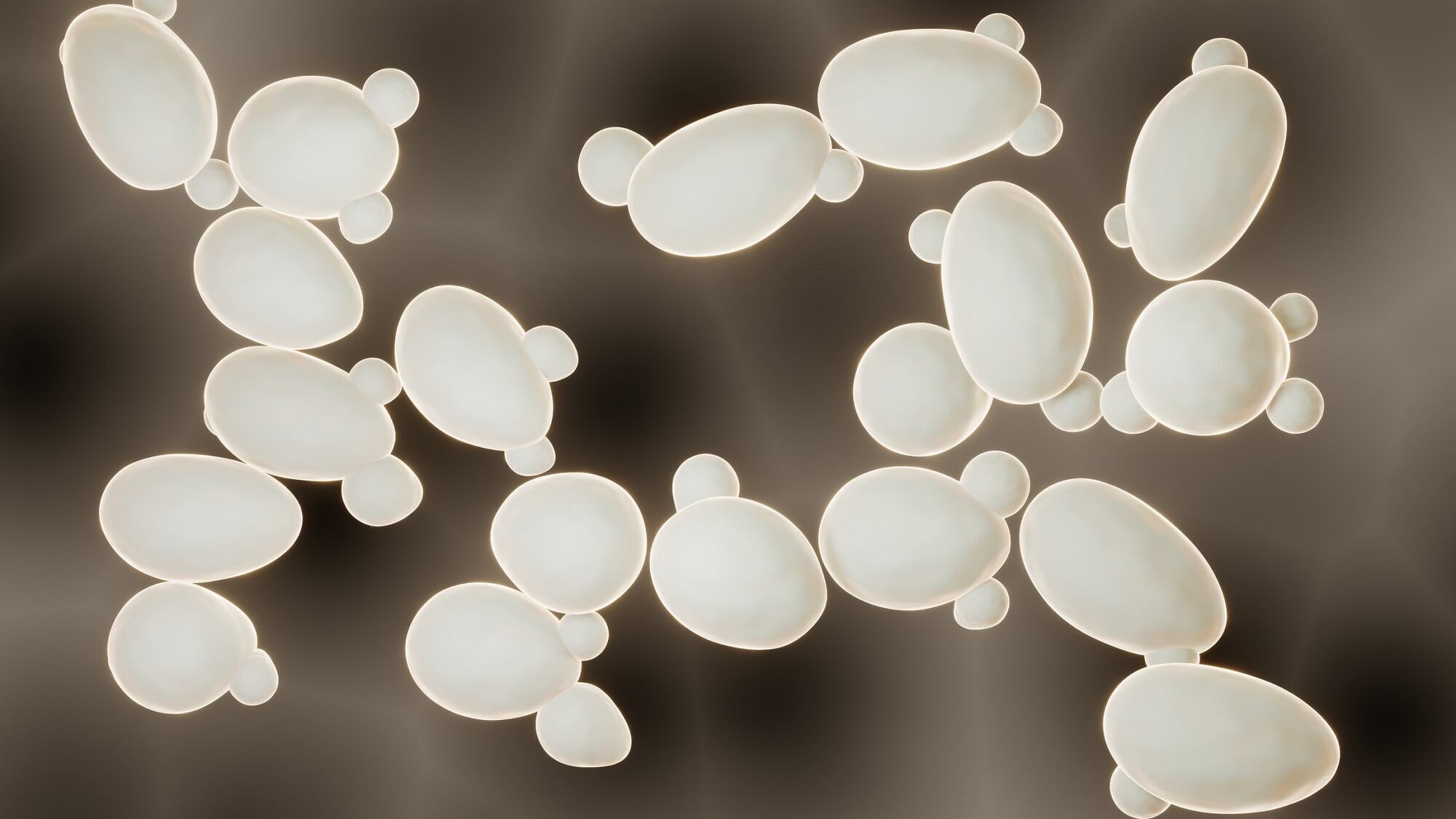 Materials-that-Matter-100-skin-identical-vegan-collagen.jpg