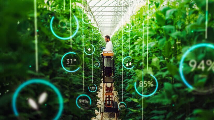 Brightseed-Botalys partnership on sustainably sourced bioactive botanicals