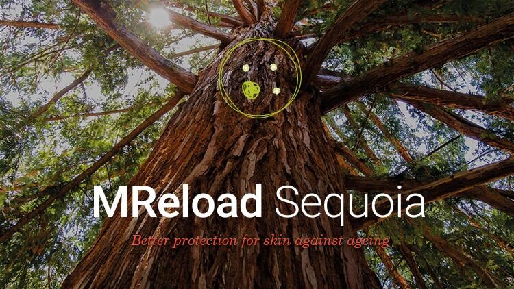 Sequoia-cells-to-limit-male-skin-ageing.jpg
