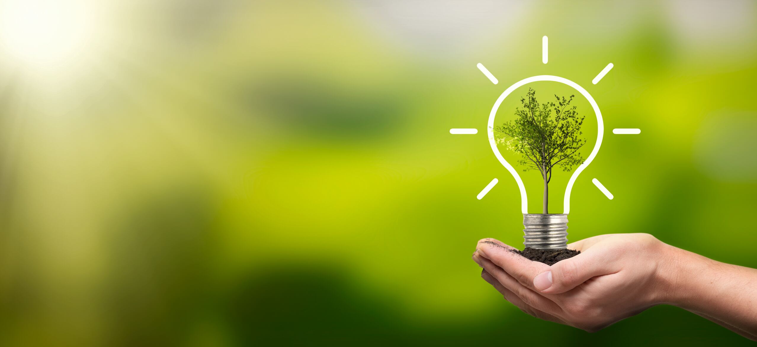 Health and social impact lead sustainable developments