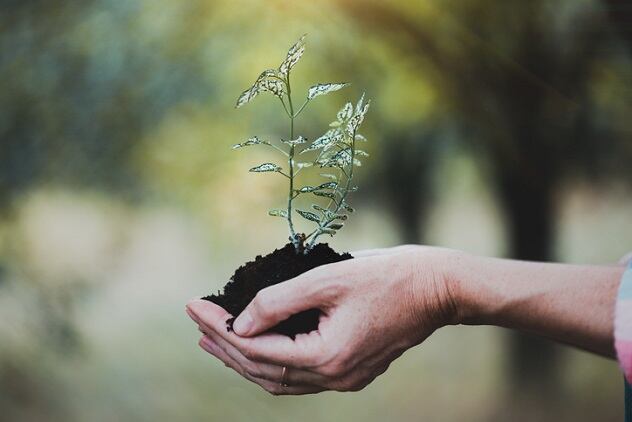 Sustainable Indie Makeup: Do niche cosmetics brands hold the answer to a circular economy?
