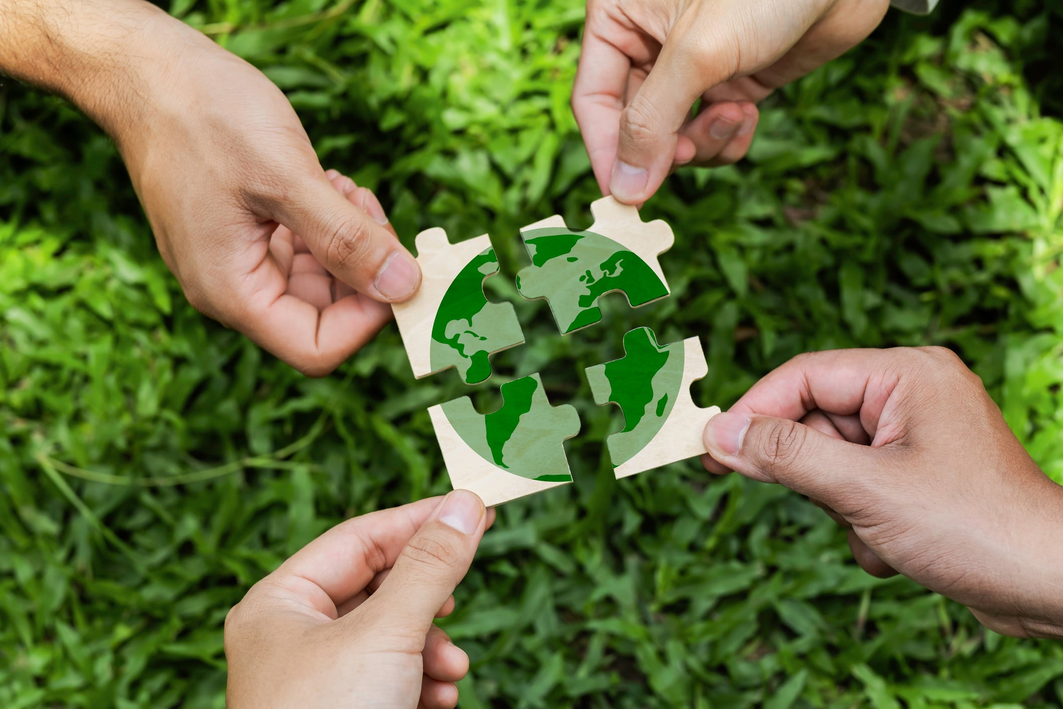 United for sustainability: Pact, Ulta, and Credo Beauty share collective progress on beauty packaging
