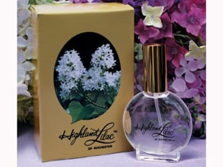 Highland_Lilac_2009_320x240.jpg
