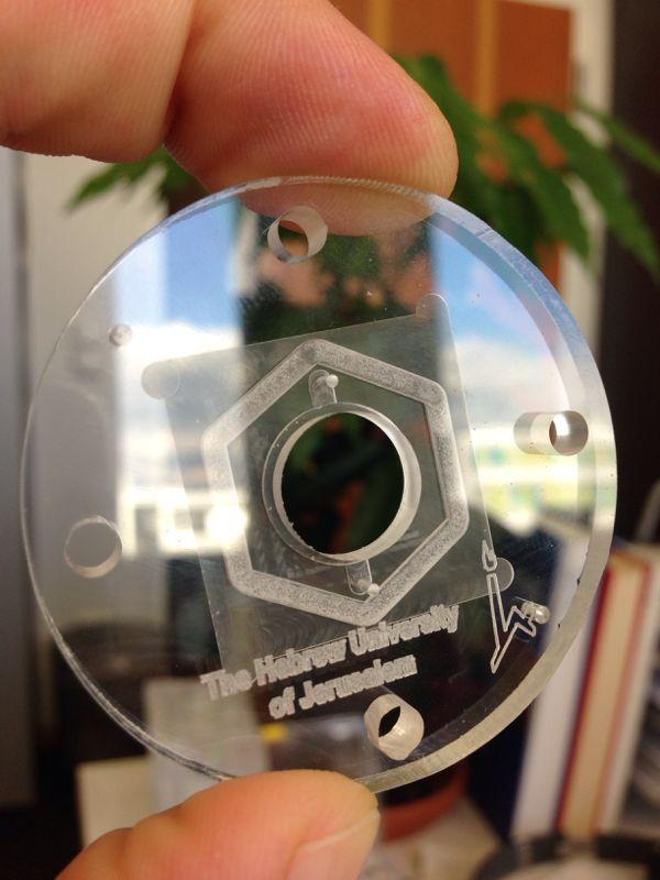 liver-on-chip.jpg