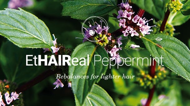 Peppermint-active-cells-to-combat-oily-hair-and-scalp.jpg