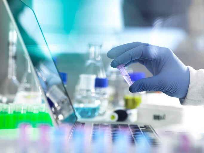 OECD non-animal skin sensitisation guideline a ‘landmark’ move – agency heads