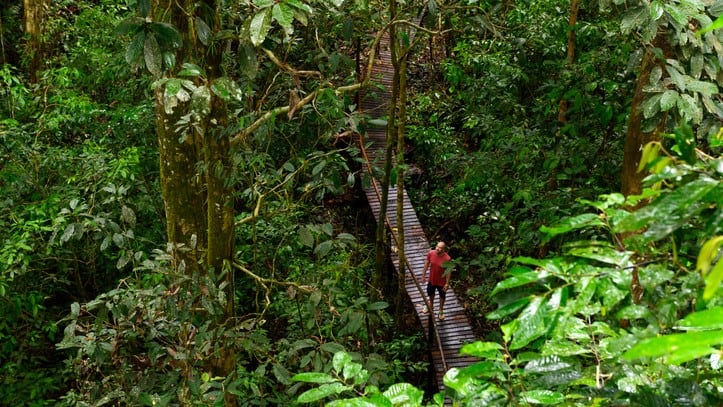 Save the rainforests: Imperative to find big beauty brands to support communities in Borneo – Forestwise CEO