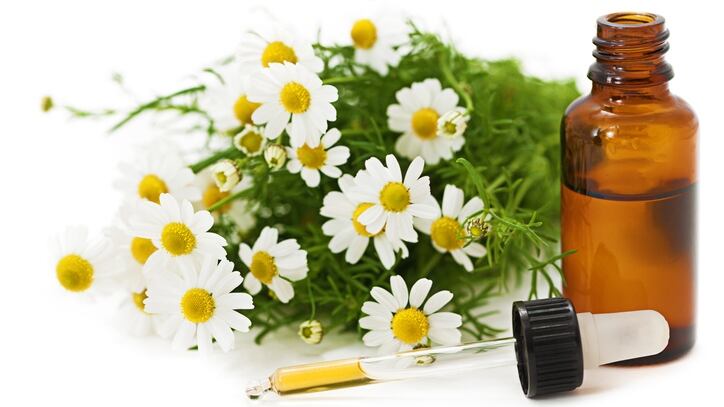 Three-botanicals-with-atopic-dermatitis-fighting-potential.jpg