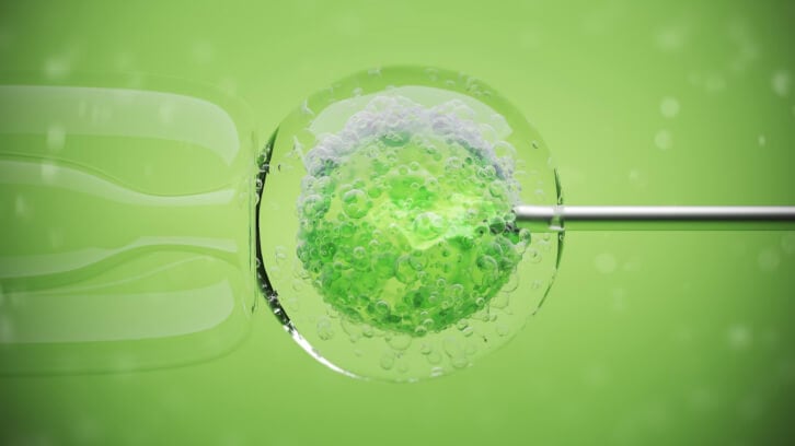 CDU Exclusive: L'Oréal SVP’s deep dive into company’s sustainability programs