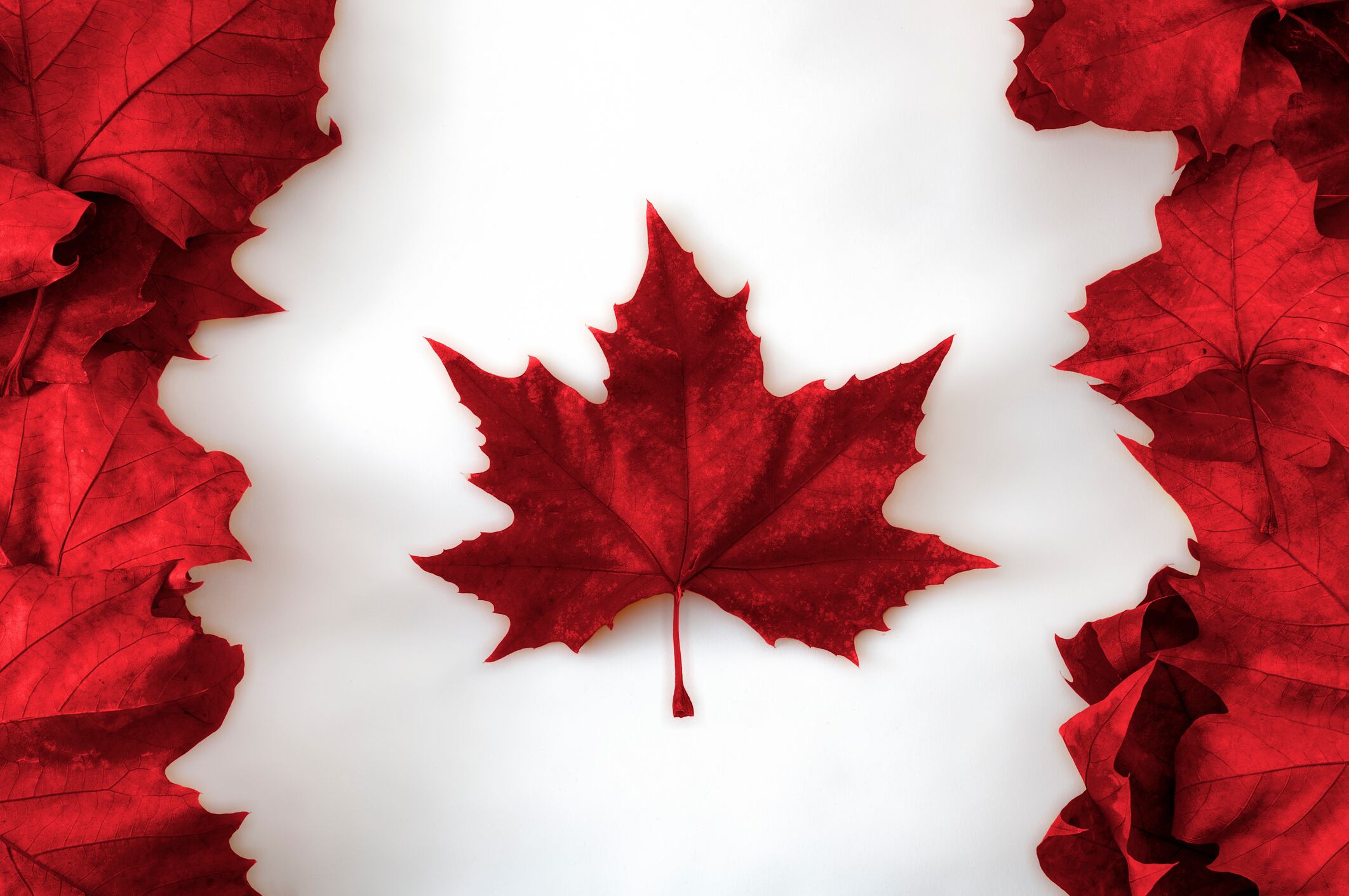 Canada refocuses waste reduction program efforts