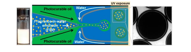 ACS-study-fragrance-molecules-encapsulated.png
