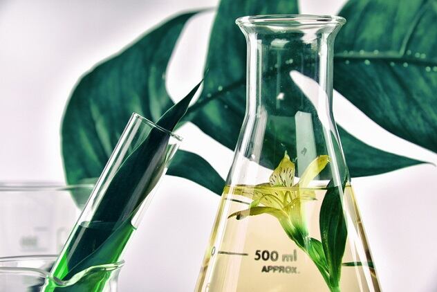 Personal care ingredient and formulation design firms team up on natural products collection