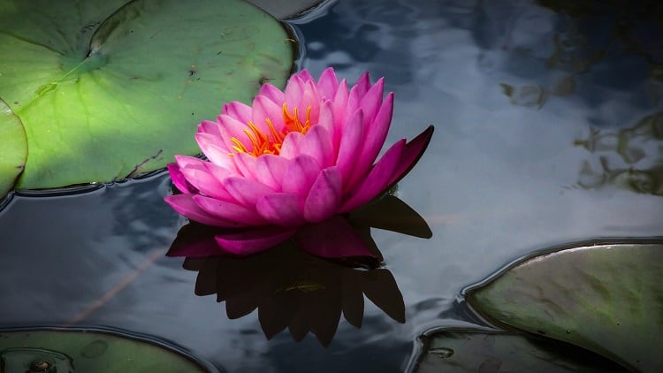 This Month in Fragrance: July 2019