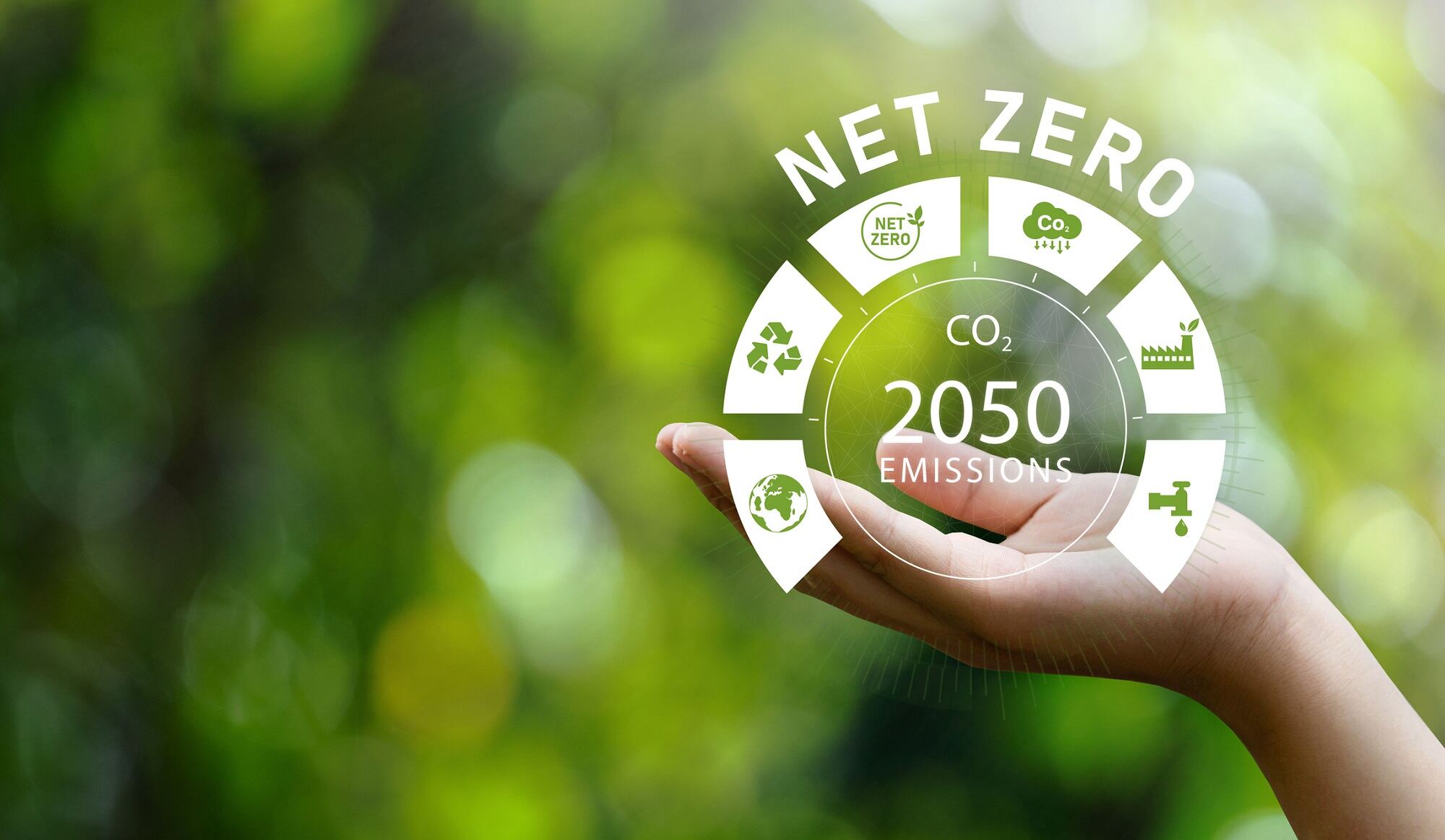 BASF works to achieve net zero carbon emissions by 2050
