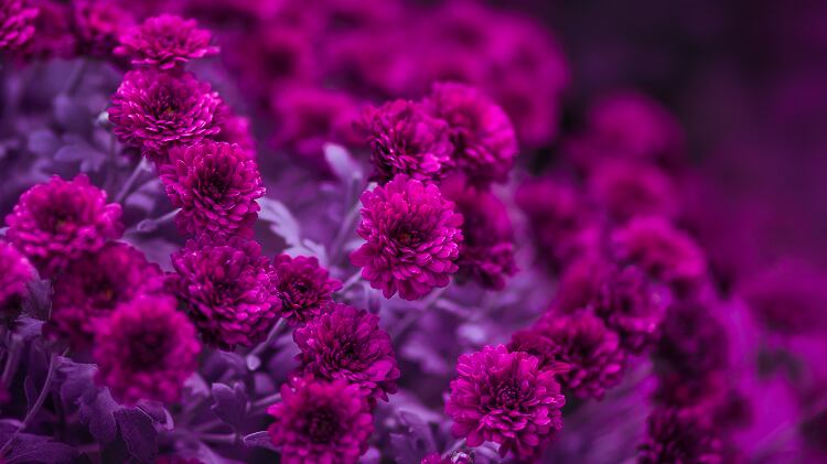This-Month-in-Fragrance-November-2019.jpg