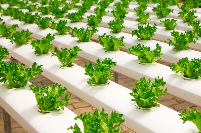 The conscious beauty supply chain
