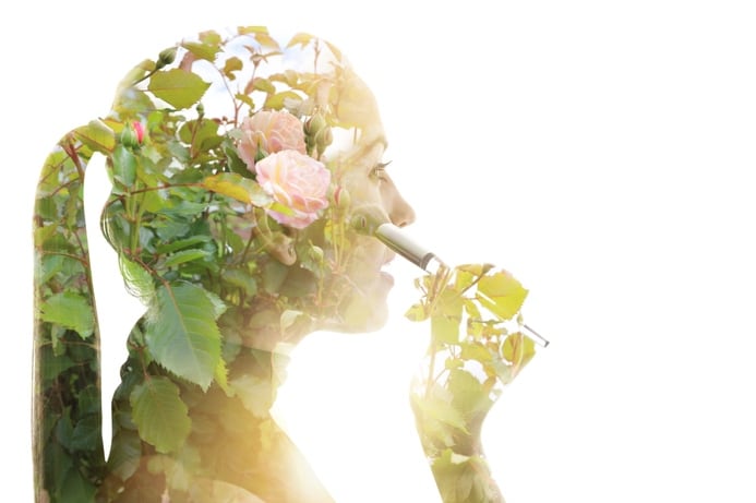 Sustainability-articles-to-read-on-Earth-Day.jpg