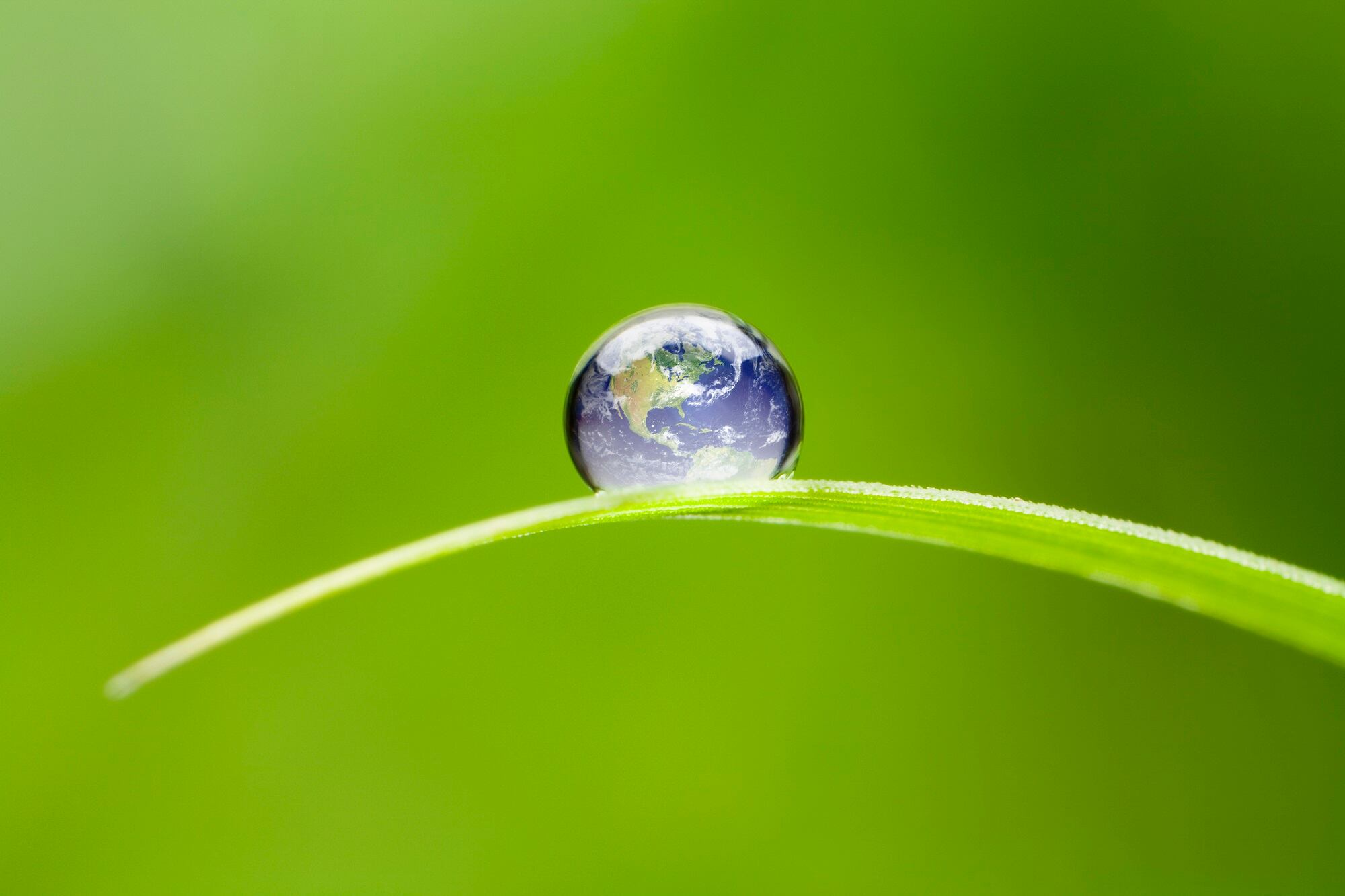 Credo-Beauty-introduces-skin-care-line-with-focus-on-hydration-and-sustainability.jpg