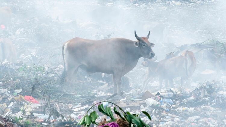Innersense-Organic-and-plastic-beauty-packaging-problem.jpg