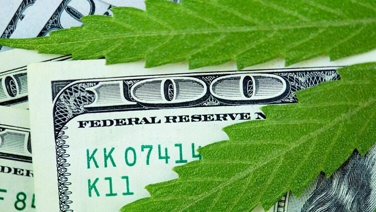 Top 5 recent articles on CBD and hemp seed oil on CosmeticsDesign