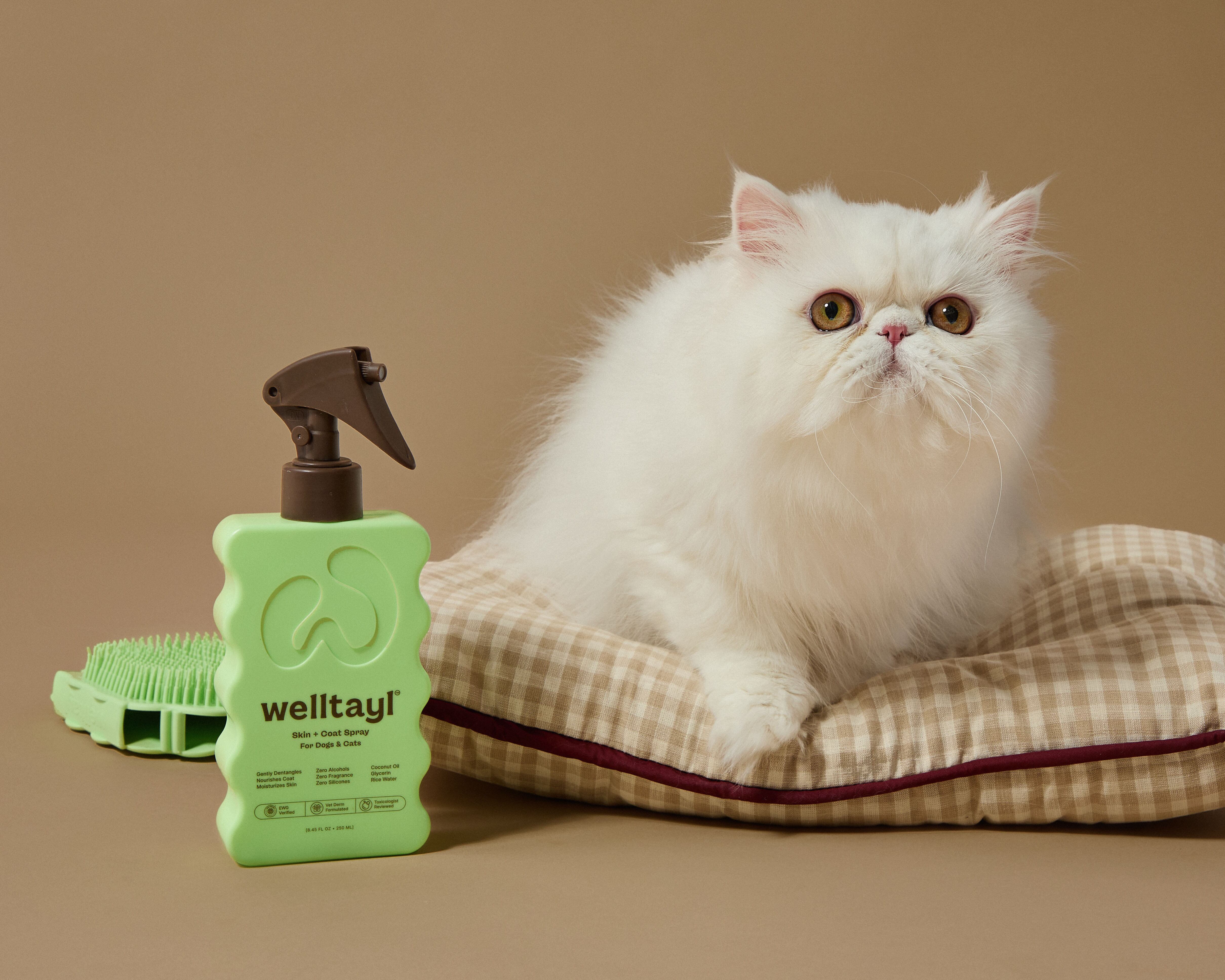 Q&A: US startup brings EU-level safety standards to unregulated pet cosmetics sector