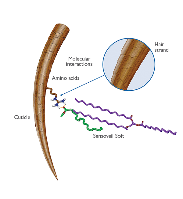 Action-mechanism-Sensoveil-Soft.png