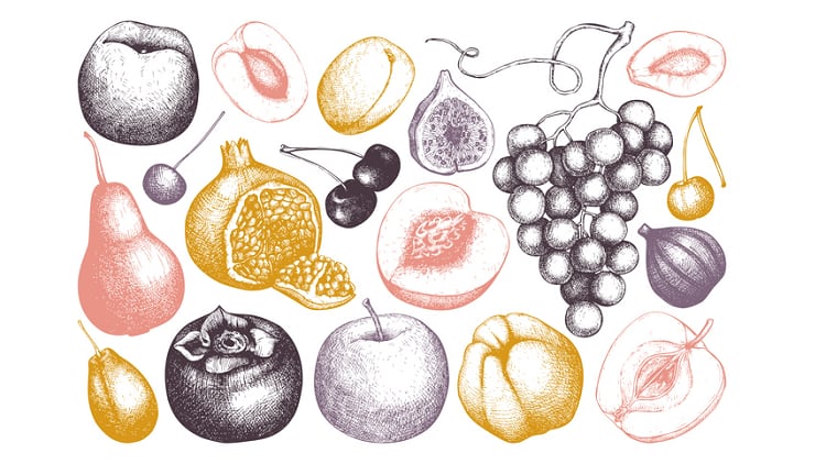 New-research-from-Mary-Kay-shows-skin-care-benefits-of-fruit-extracts.png