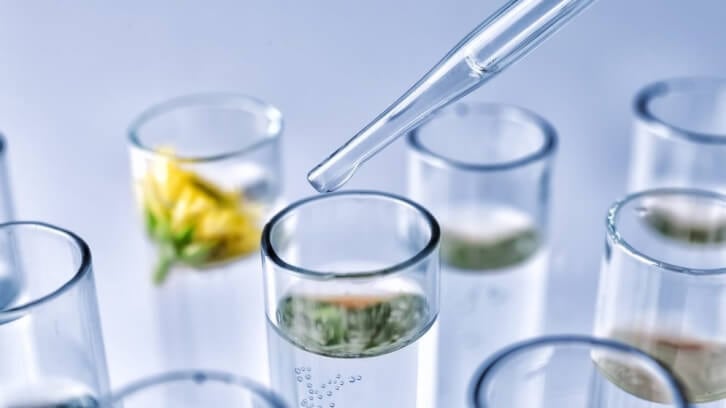 Scent-tech-company-launches-AI-software-for-fragrance-reformulation.jpg