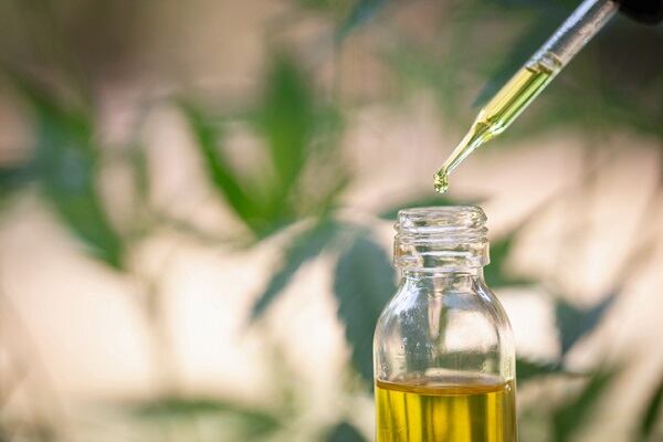 Jamaican authorities eye expansion into medical cannabis