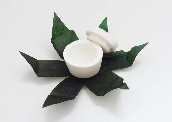 Guatemalan-designer-creates-sustainable-cosmetics-packaging.png