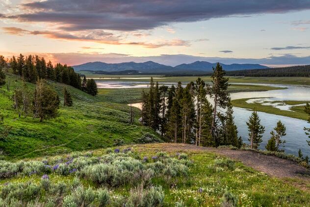 Fragrance brand Caswell-Massey teams up with IFF and Yellowstone National Park