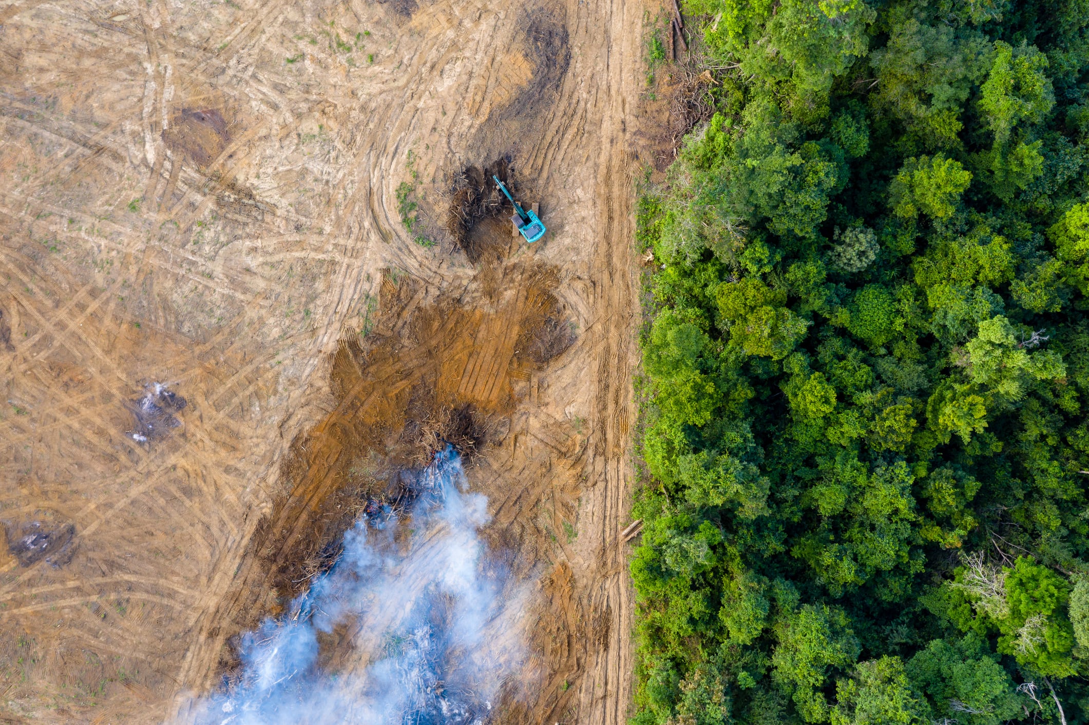 Future Origins secures major offtake agreement for sustainable ingredient NALO