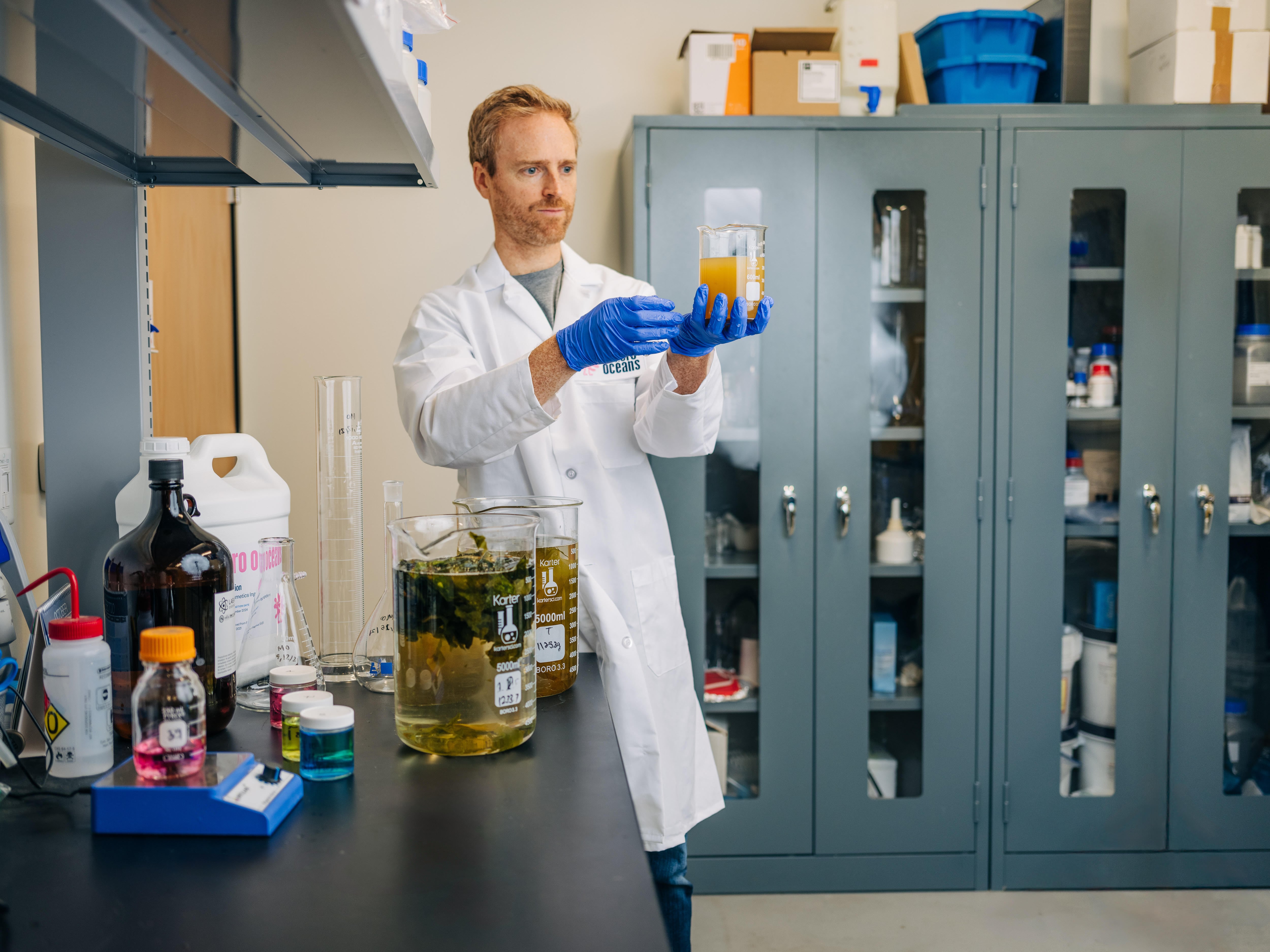 Biotech company Macro Oceans launches Big Kelp Flex, debuts at NYSCC Suppliers’ Day 2025
