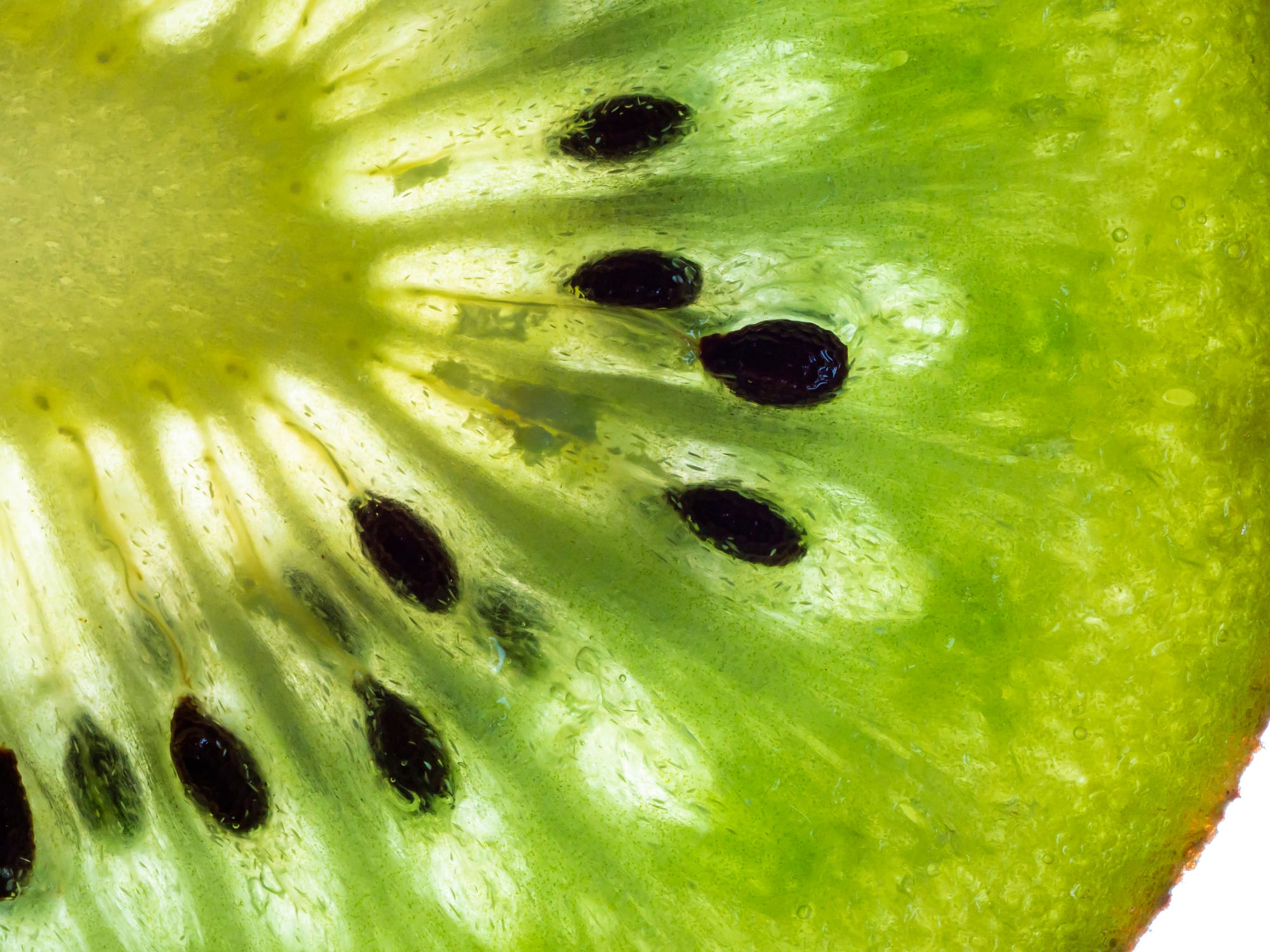 Columbian study finds kiwi fruit-derived enzyme can yield promising anti-aging peptides