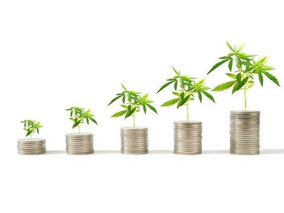 SOL-Global-s-new-venture-Heavenly-Rx-will-add-cannabis-beauty.jpg