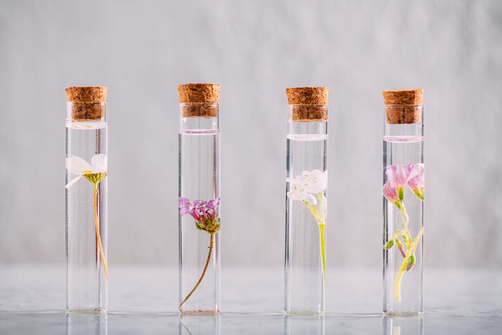 Natural evolution: Why the hair care category is ripe for nature and science formulation innovation