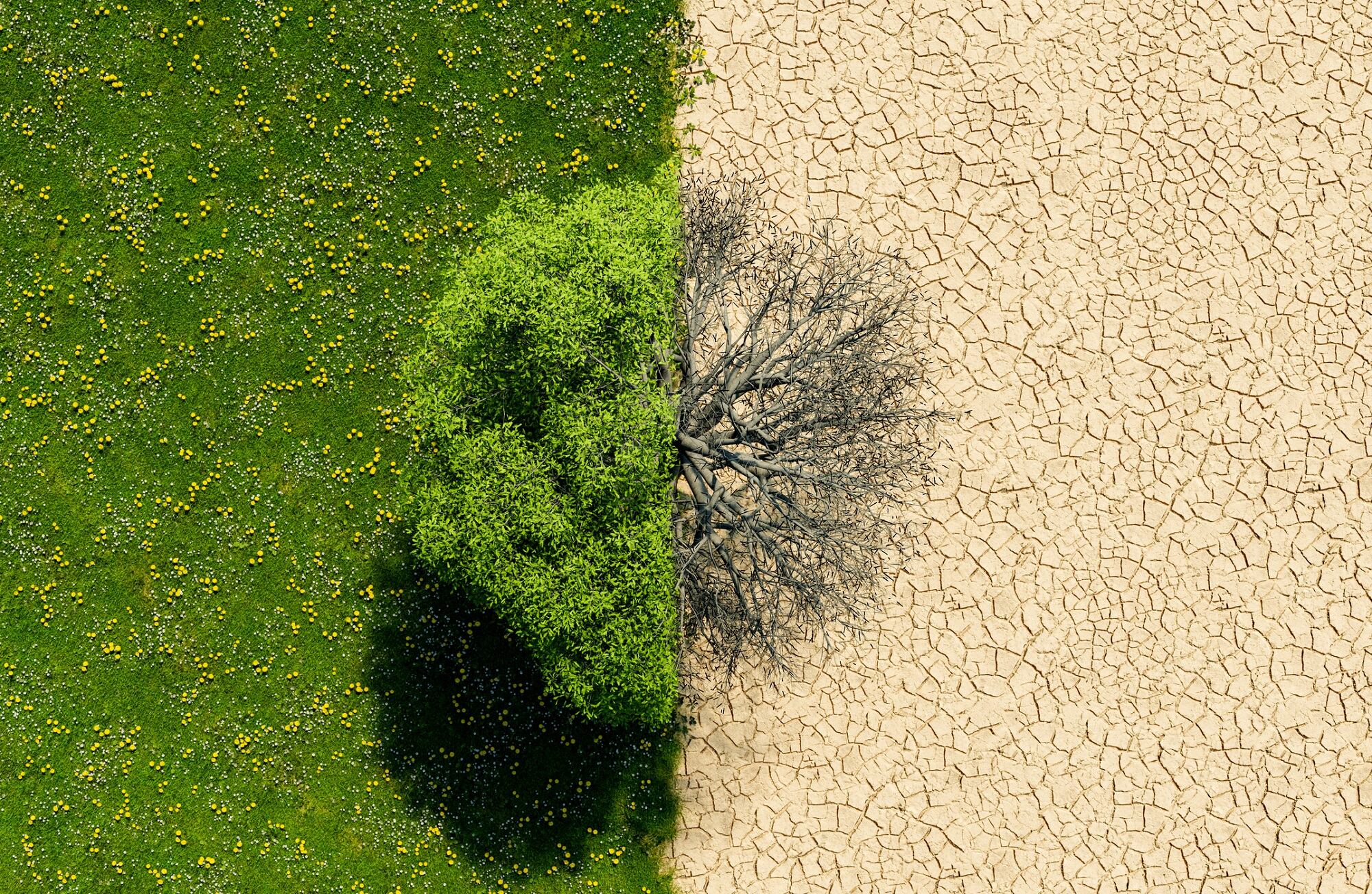 Weather-extremes-point-to-big-opportunities-for-climate-adaptive-skin-care.jpg