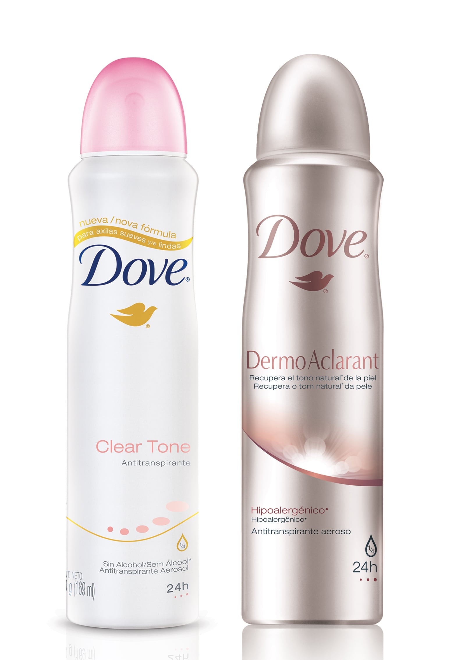 dove_casa-rex.jpg