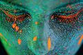 The skin microbiome and beauty: changing perceptions of bacteria