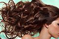 Consumer are looking for preferred skin care ingredients to become part of their hair care routine