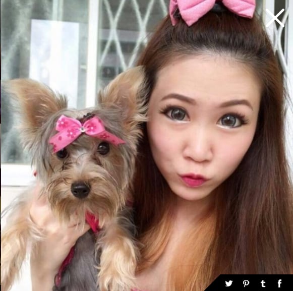 MAC-Doggy.png