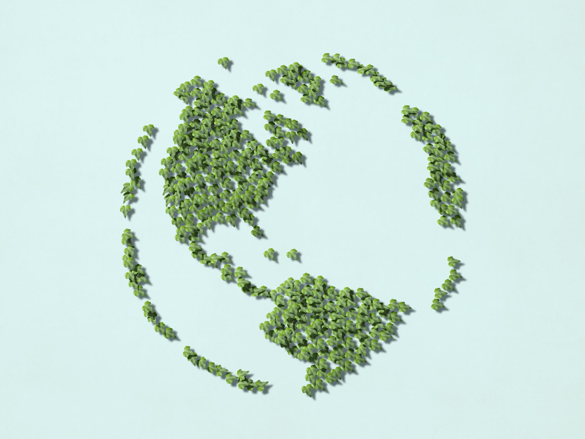 Zero+ collection: waterless, plant-based and plastic-free