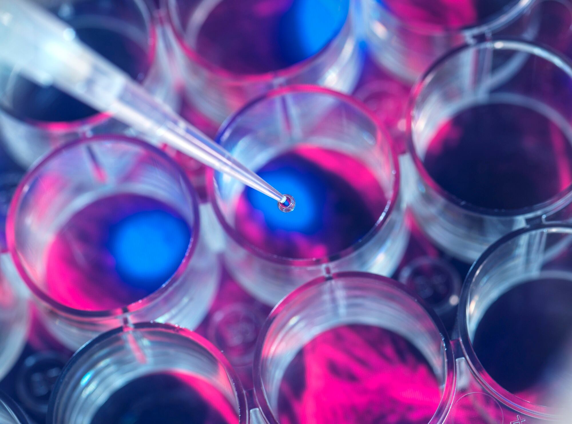 Modern Meadow’s Bio-Coll@gen offers ‘sustainable, effective, scalable’ alternative to animal-derived collagen