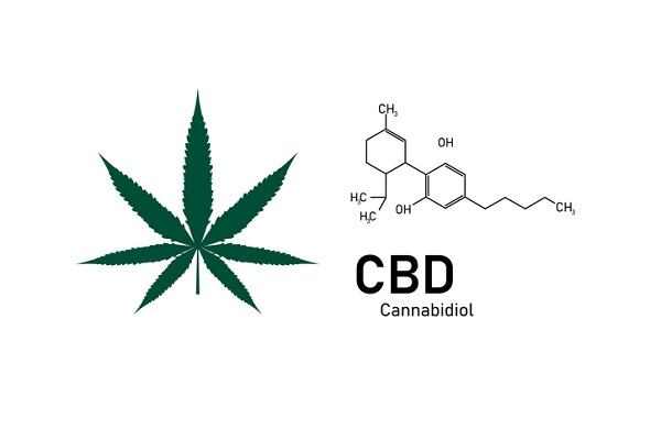 Blueberries-gets-approval-to-sell-CBD-products-in-Colombia.jpg